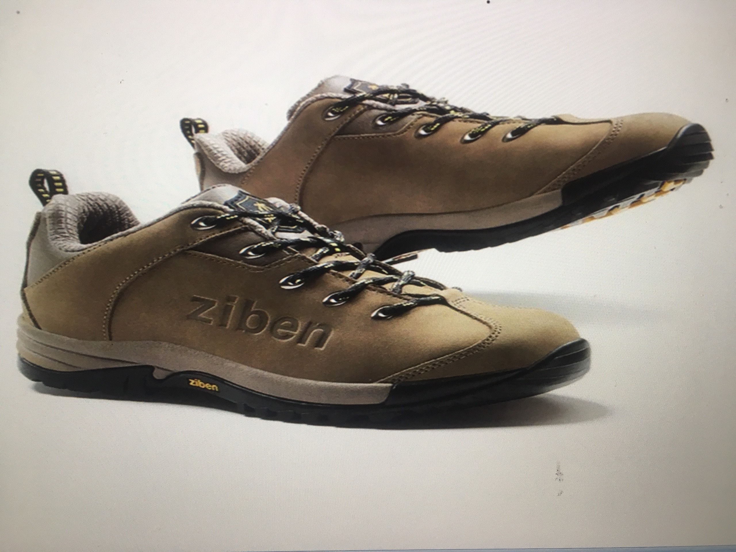 Giày bảo hộ ZIBEN - 121